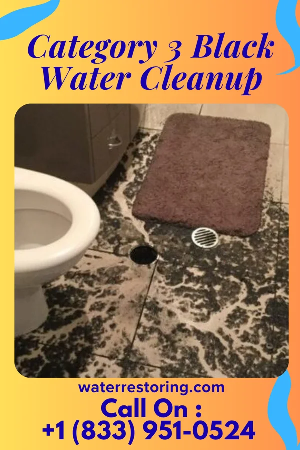 Category 3 Black Water Cleanup in De Smet, SD